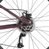 Велосипед FOXX 29" BIANKA, рама M (рост 165-175см), фиолетовый